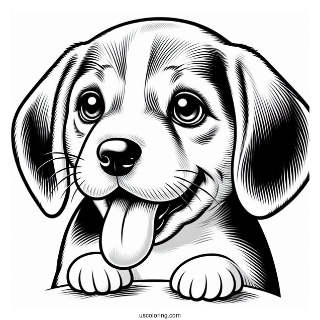 Beagle Puppy With Tongue Out Coloring In