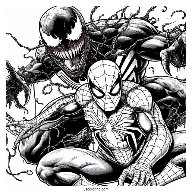 Detailed Spider-Man And Venom Coloring For Adults