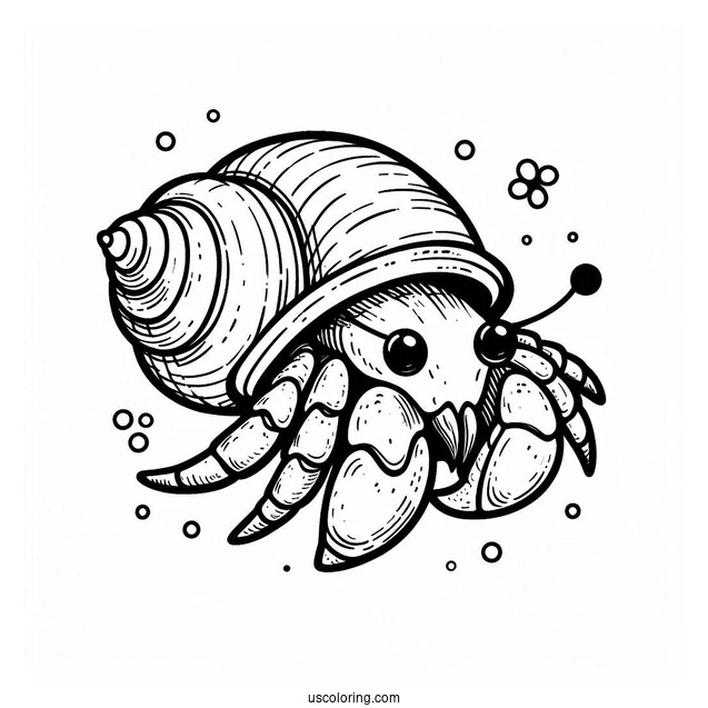 Simple Hermit Crab Coloring Page