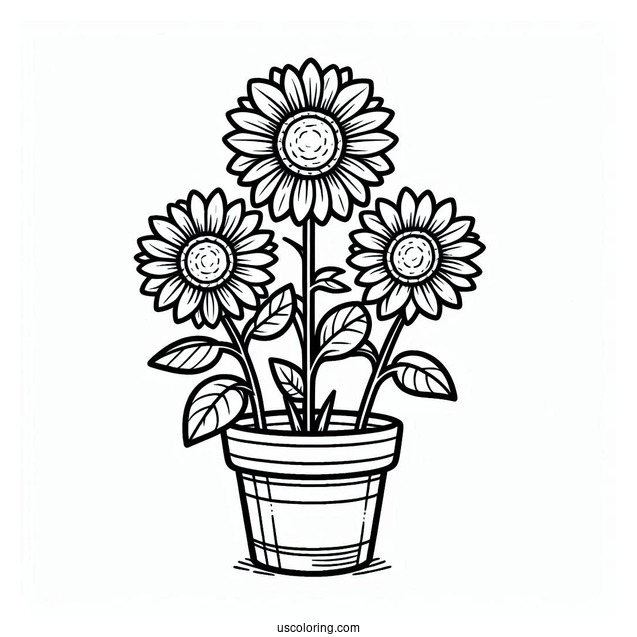 Flower Coloring Pages Of Three Happy Sunflowers In Garden Pot