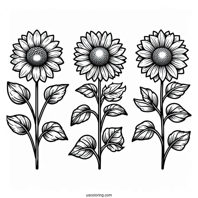 Flower Coloring Pages Of Three Small Sunflowers With Leaves