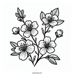 Flower Coloring Pages Of Easy Cherry Blossoms For Kids