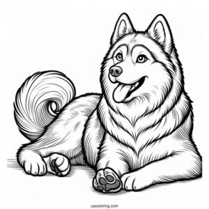 Husky With Paw Up