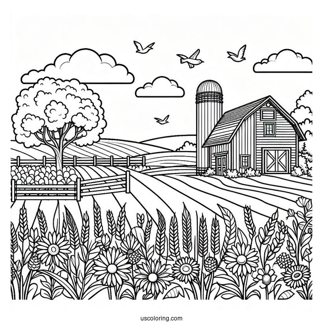 Farm Fields To Color