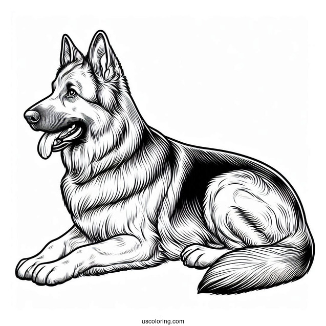 Big German Shepherd Dog