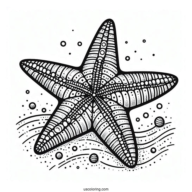 Easy Starfish Coloring Page On The Sand for Kids
