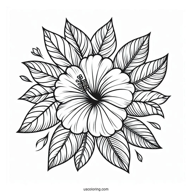 Flower Coloring Pages Of Large Hibiscus Among Leaves