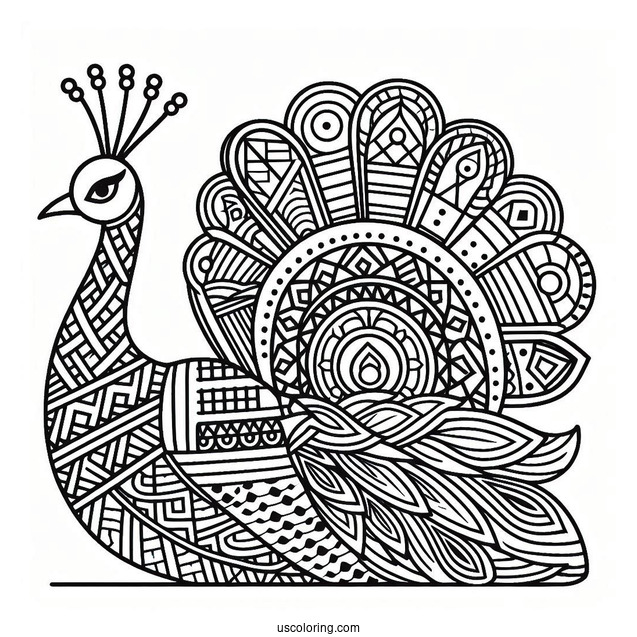 Geometric Peacock Coloring Page With Patterned Tail For Kids