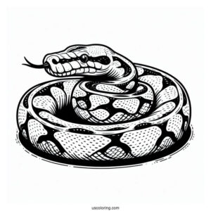 Burmese Python To Color