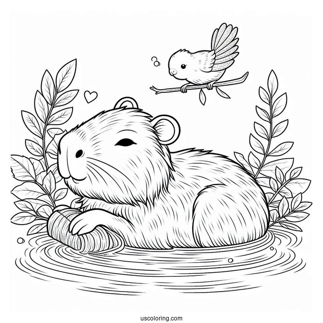 Bathing Capybara Coloring Page With Bird On Its Head