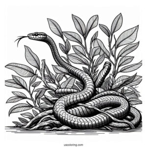 Mangrove Snake To Color