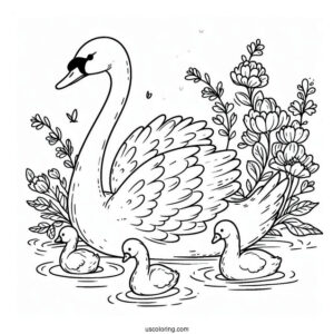Swan Coloring Page Swimming With Cygnets