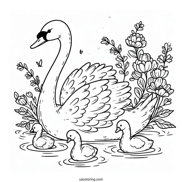 Swan Coloring Page Swimming With Cygnets