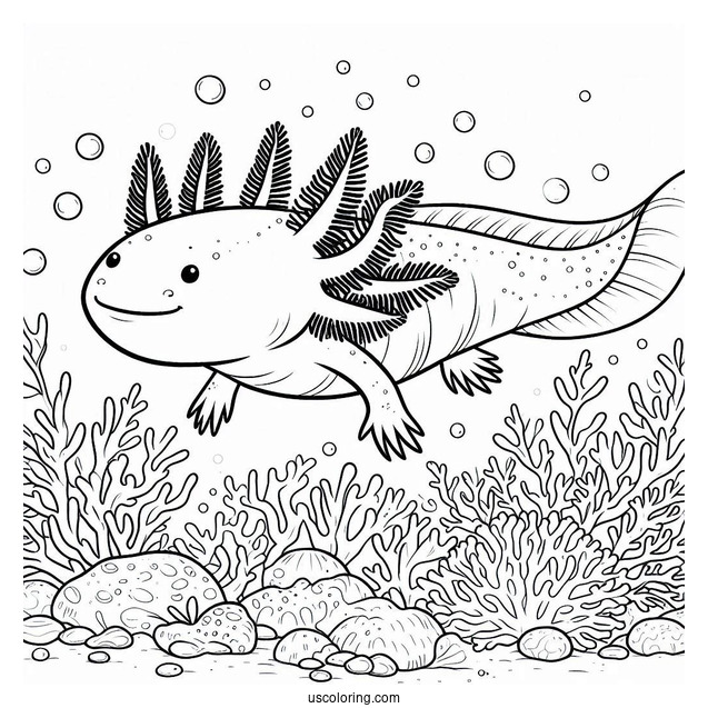 Swimming Axolotl Coloring Page Surrounded By Corals