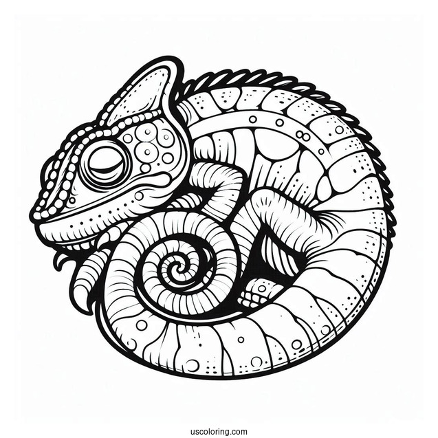 Lizard Coloring Page of Chameleon With Curled Tail Sleeping