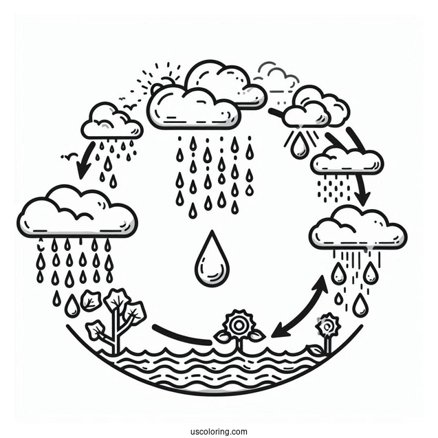 Rain Coloring Page Of Water Cycle Diagram