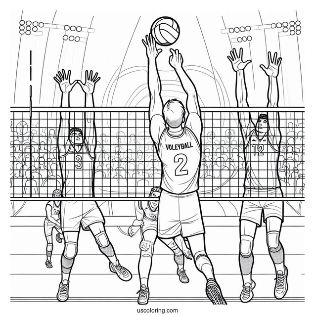 Volleyball Players Competing In The Olympics Coloring Page