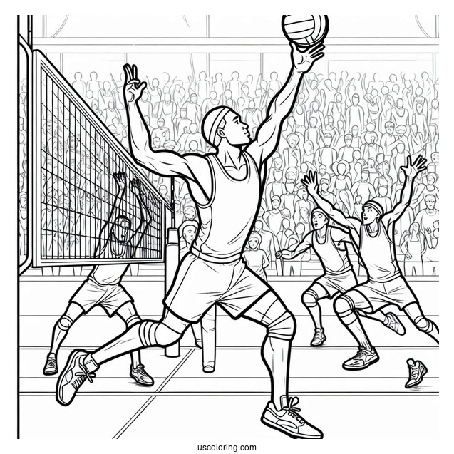 Volleyball Players Competing In The Olympics Coloring Page