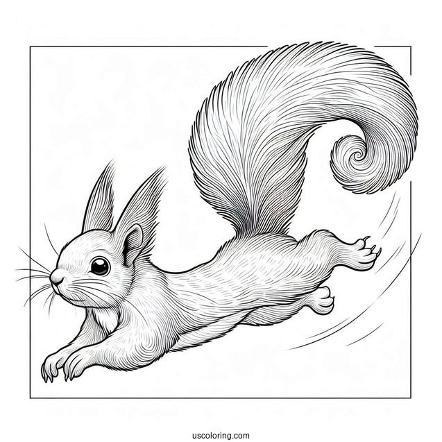 Simple Squirrel Coloring Page Gliding In the Air