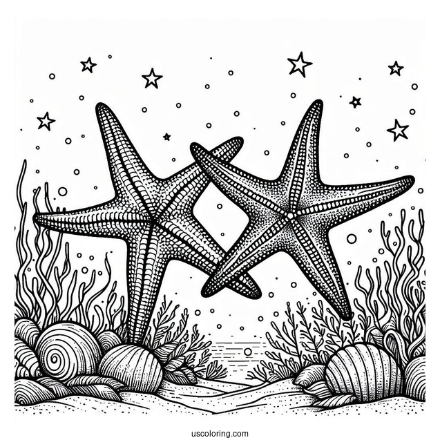 Two Starfish Coloring Page Crawling Along Coral Reef