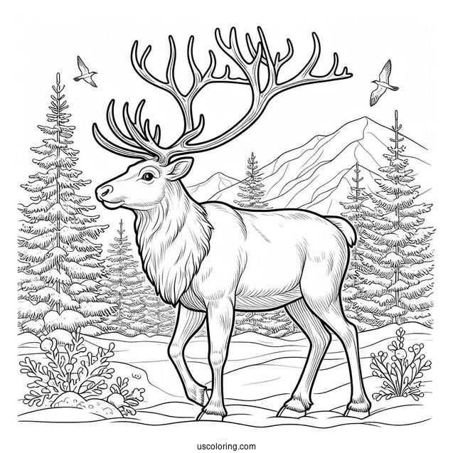 Coloring Page Of a Large Male Reindeer During Winter