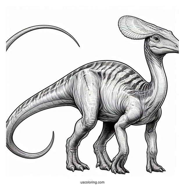 Realistic Parasaurolophus Coloring Page