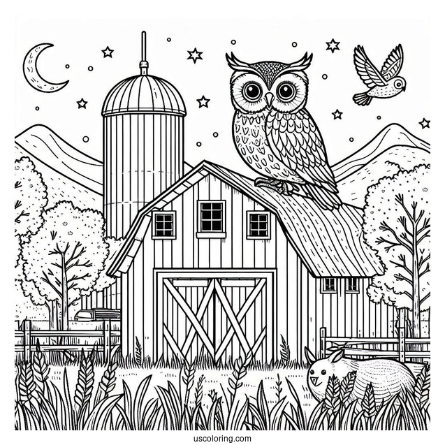 Barn Own To Color