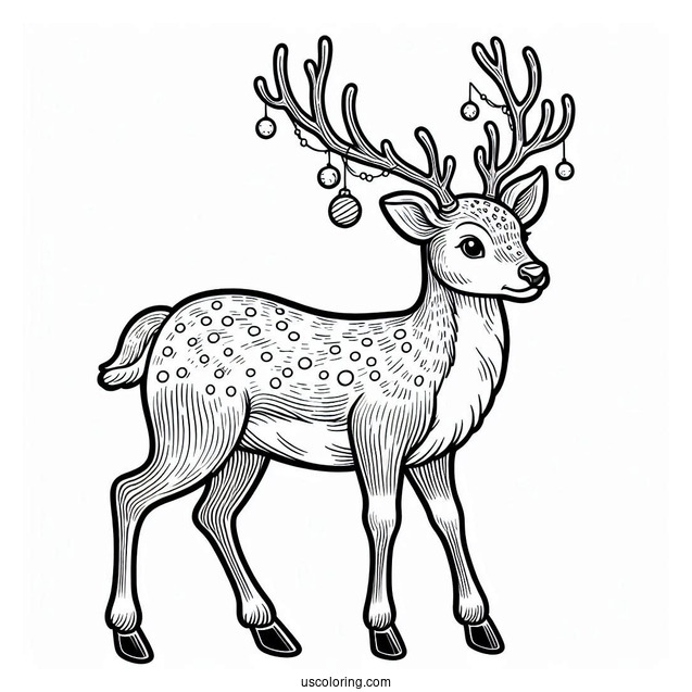 Christmas Themed Reindeer To Color For Adults