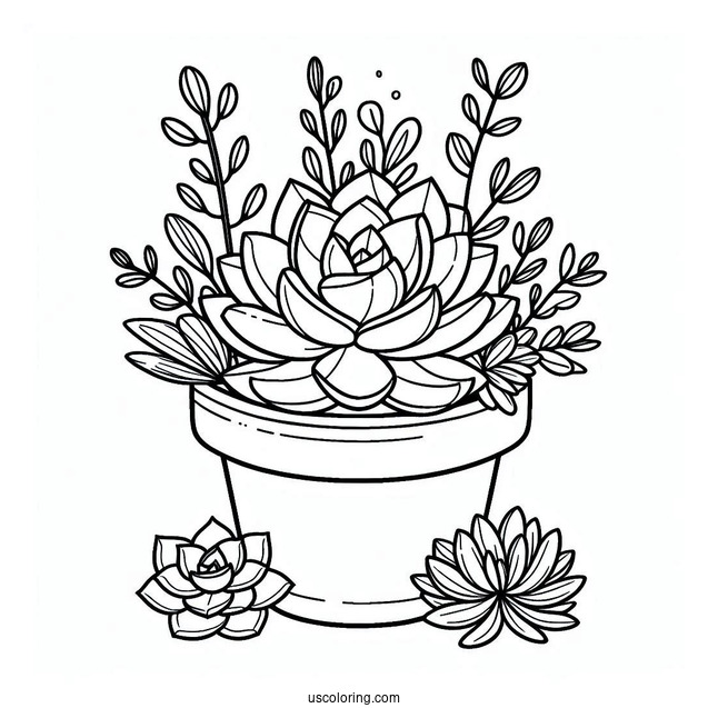 Simple Succulent Coloring Page Pot For Kids