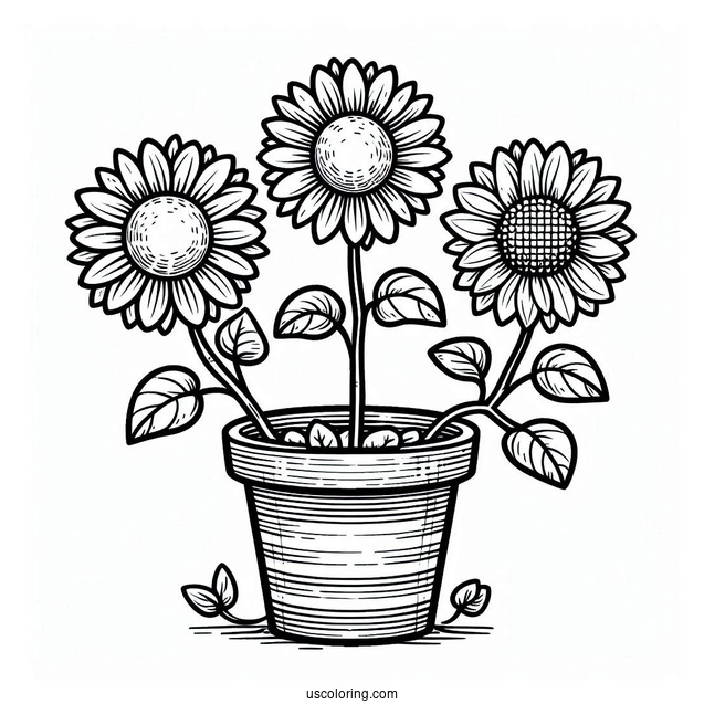 Flower Coloring Pages Of Three Happy Sunflowers In Garden Pot