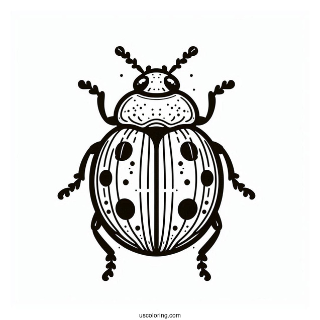 Top View Orange Lady Beetle Coloring Page
