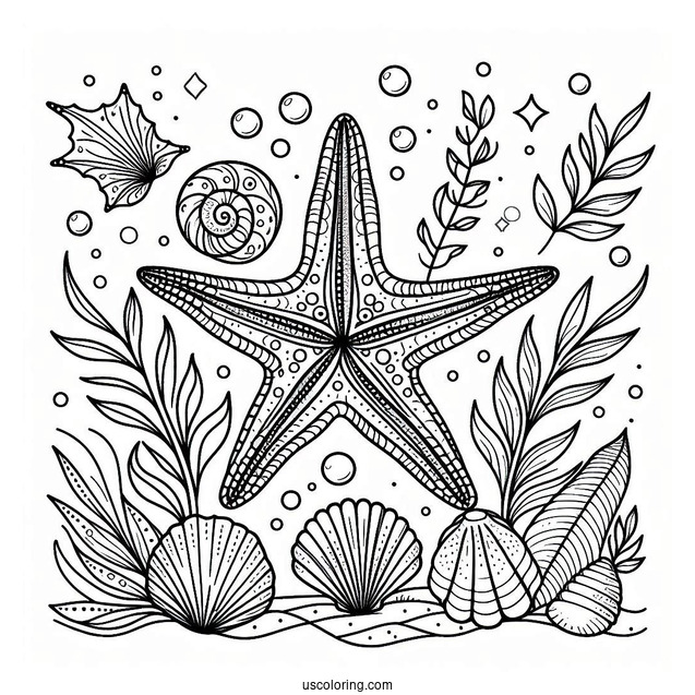 Starfish Coloring Page With Seashells And Seaweeds