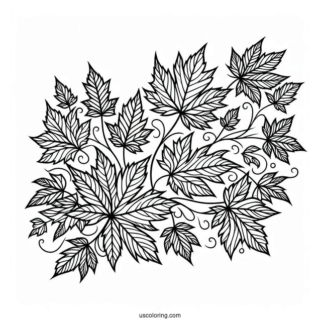 Maple Leaves Pattern Coloring Page