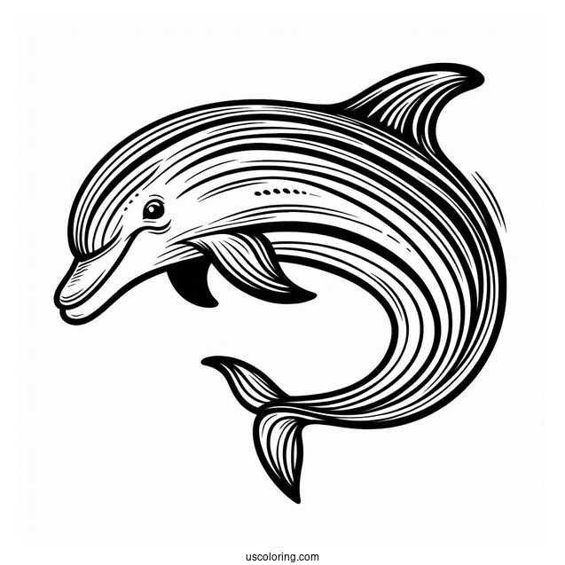 Striped Dolphin Coloring Page