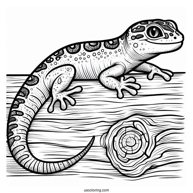 Gecko Lizard Coloring Page On Wood Coloring Page
