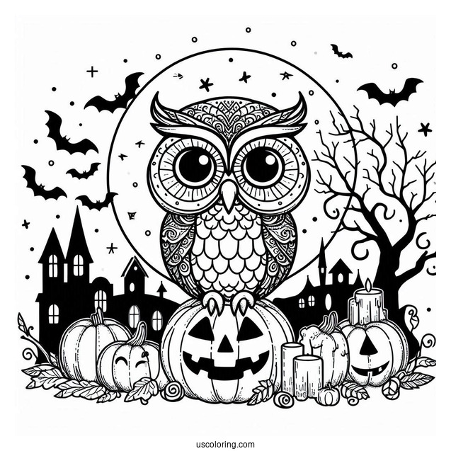 Spooky Looking Owl During Halloween