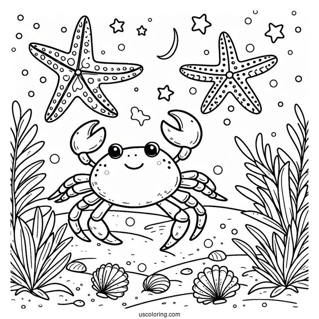 Cartoon Crab Approaching Starfish Coloring Page At Sea