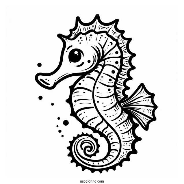 Easy Outline Of a Baby Seahorse To Color