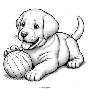 Realistic Labrador Puppy Playing With Ball Coloring In