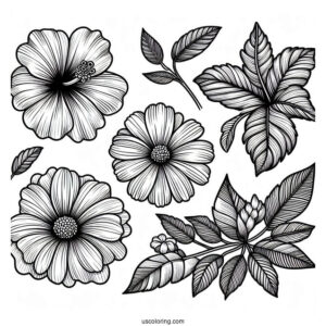 Flower Coloring Pages Of Hibiscus, Daisy, And Dahlias