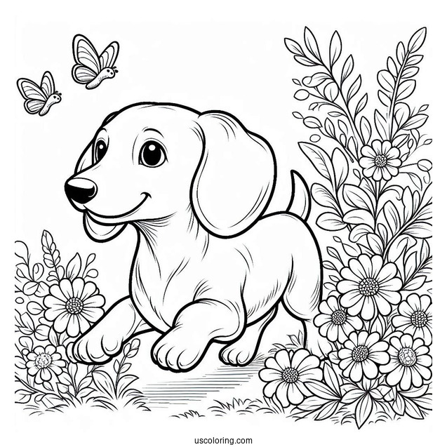 Dachshund Coloring Page Running In Flower Garrden