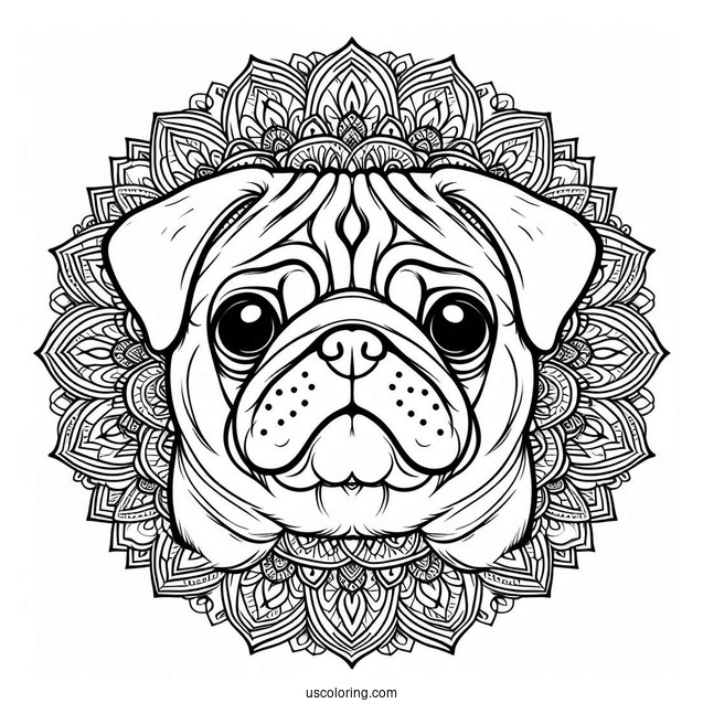 Pug Mandala Coloring Sheet