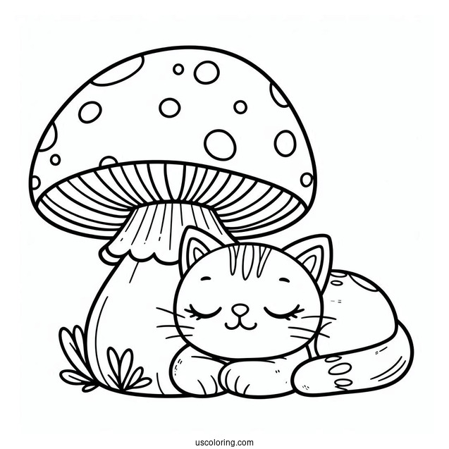 Cat Sleeping On Big Mushroom
