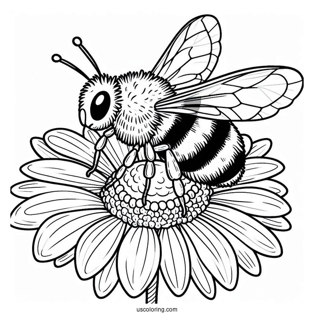 Large Bee Coloring Page On Top Of A Daisy