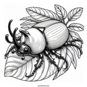 Rhinoceros Beetle Coloring Page On A Leaf