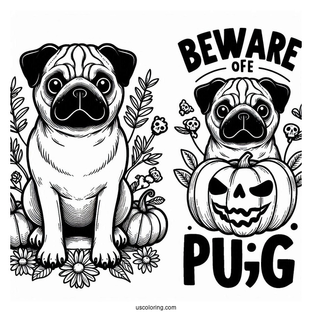 Beware Of The Pug Coloring Sheet
