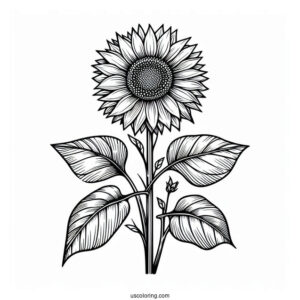 Tall Standing Sunflowers Coloring Sheet