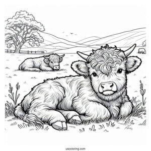 Baby Highland Cow Resting In Field Coloring In