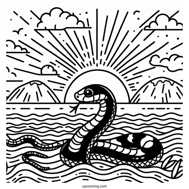 Sea Snake Swimming In Ocean